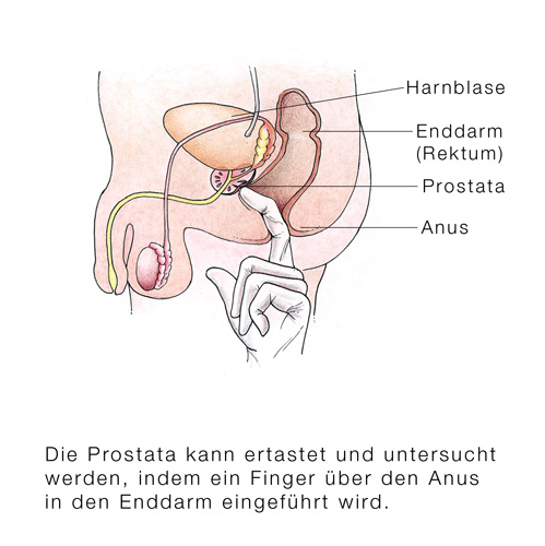 sex with finger in anus