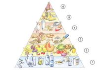 Lebensmittelpyramide, Schmema, 6 Ebenen von Lebensmitteln